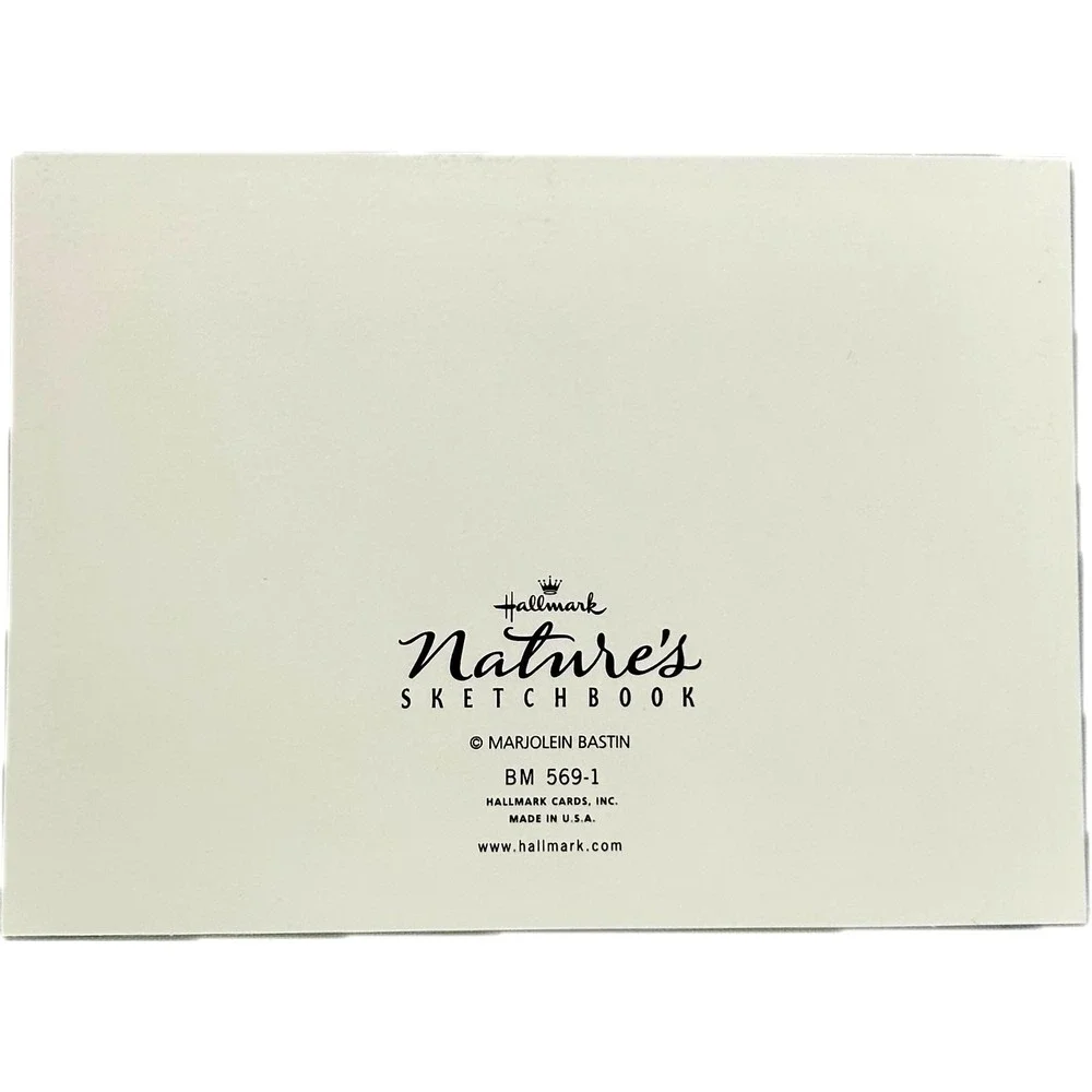 15 Hallmark Blank Nature's Sketchbook Pansies Note Cards & Envelopes Boxes READ